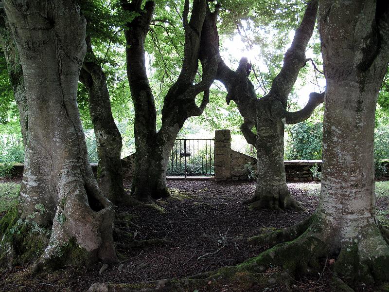 Aquitanien (447).JPG